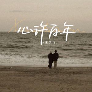 欧美三级免费网站
